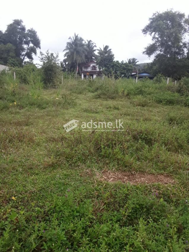 Land for Sale in Poruwadanda - Horana