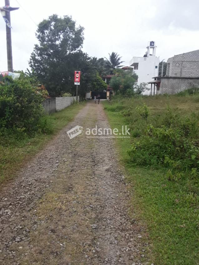 Land for Sale in Poruwadanda - Horana