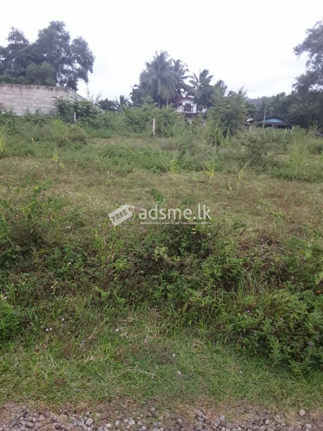 Land for Sale in Poruwadanda - Horana