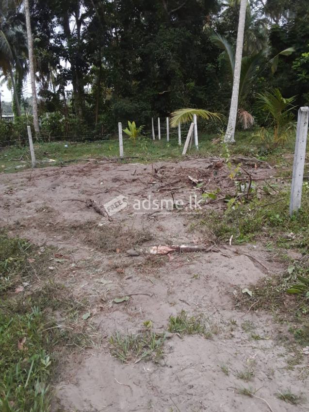 ඔබටත් වාද්දුව, මොල්ලිගොඩ ප්රදේශයෙන් පර්චස් 15ක අගනා බිම් කොටසක්.