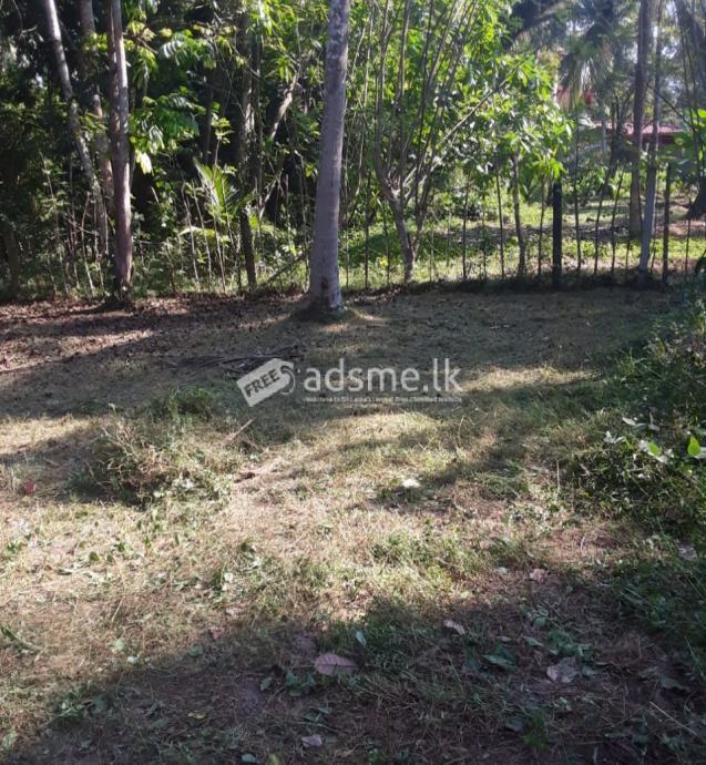ඔබටත් වාද්දුව, මොල්ලිගොඩ ප්රදේශයෙන් පර්චස් 15ක අගනා බිම් කොටසක්.