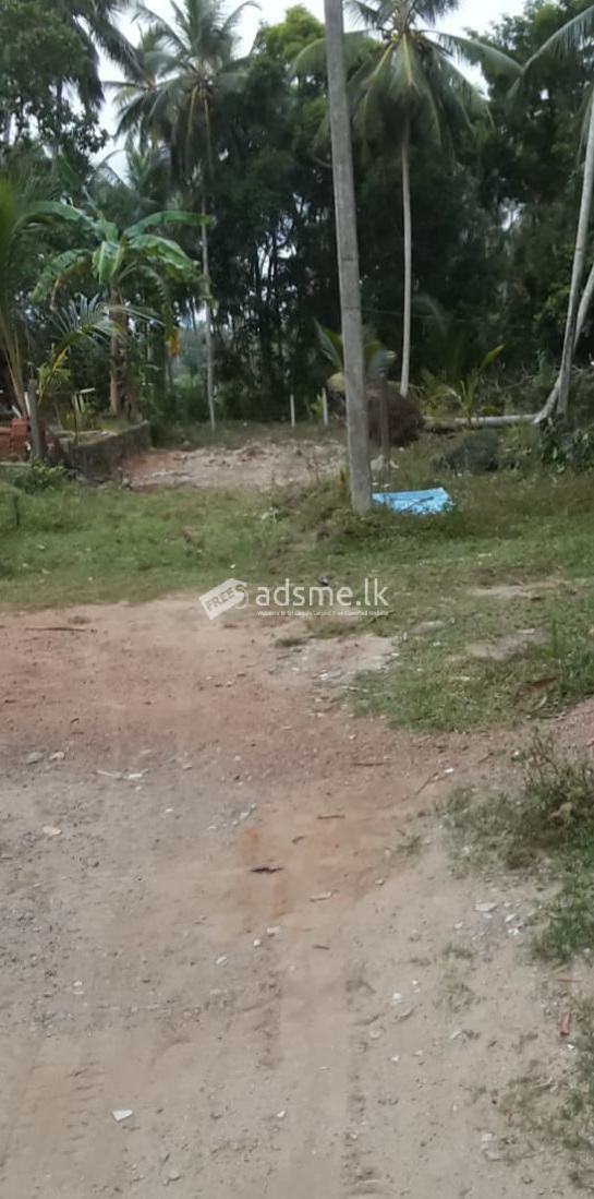 ඔබටත් වාද්දුව, මොල්ලිගොඩ ප්රදේශයෙන් පර්චස් 15ක අගනා බිම් කොටසක්.