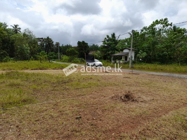 Land for Sale in Horana