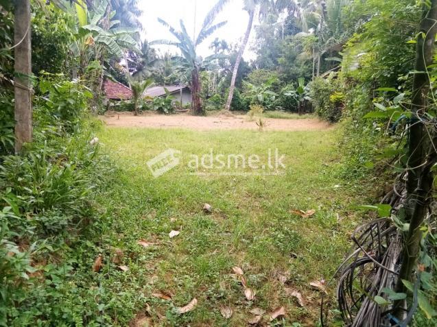 Valuable Land for sale