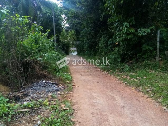 Valuable Land for sale