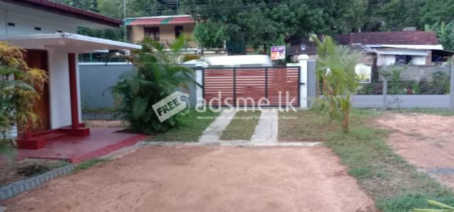 House For Rent In Horana