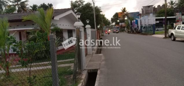 House For Rent In Horana