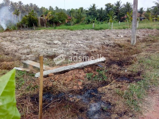 Land for Sale - Kuliyapitiya
