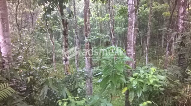 Valuable land in a fast developing area near Anamaduwa