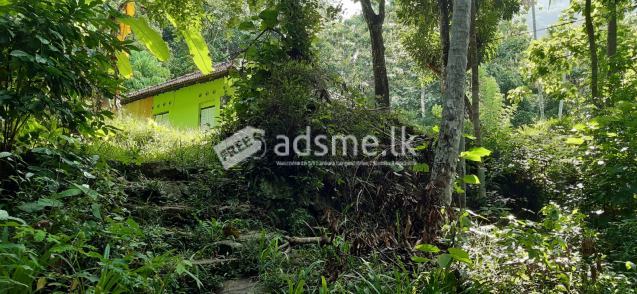 A House With A Land For Sale