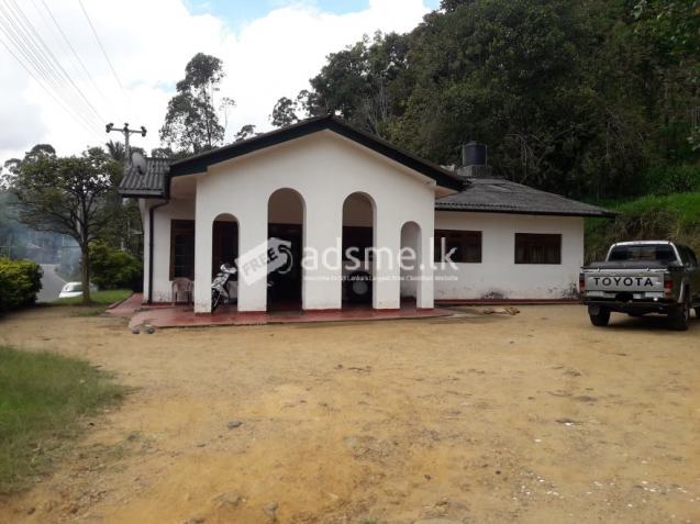 Guest House