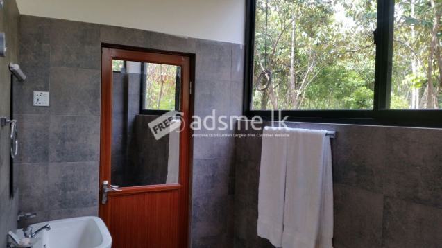 Nature hotel for rent or sale in Sigiriya