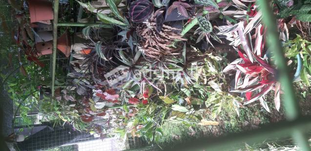 Net house for sale.