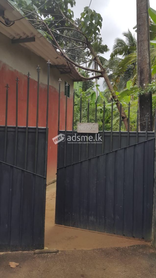 Sale for house