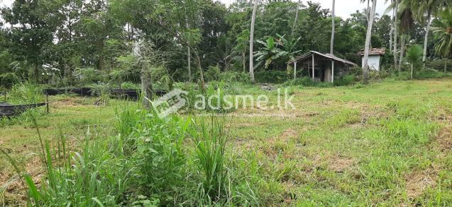 Land for Sale in Kuliyapitiya