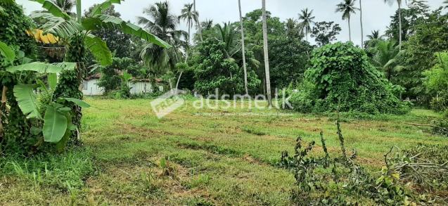 Land for Sale in Kuliyapitiya