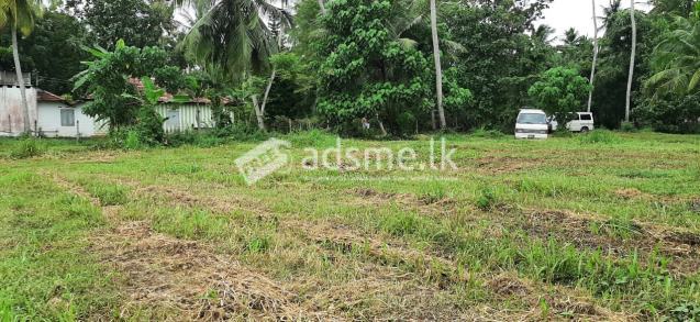 Land for Sale in Kuliyapitiya