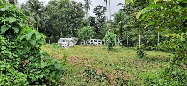 Land for Sale in Kuliyapitiya
