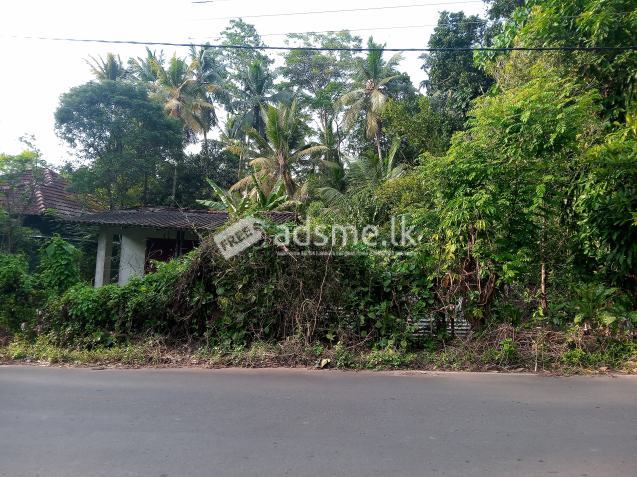 Land for sale