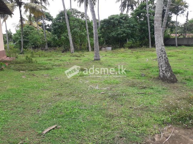 100 Perches Land with House for sale