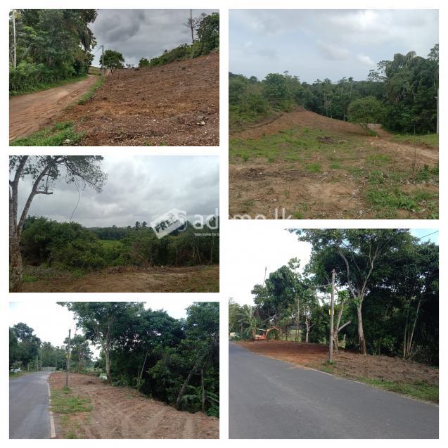 Land For Sale In Matara - Warakapitiya Sulthanagoda Road