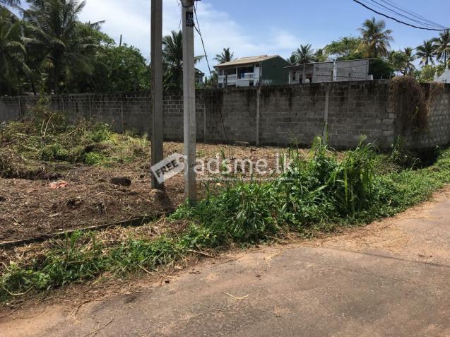 55 Perches Land for sale in Mount Lavinia