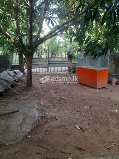 House for Sale in Narammla