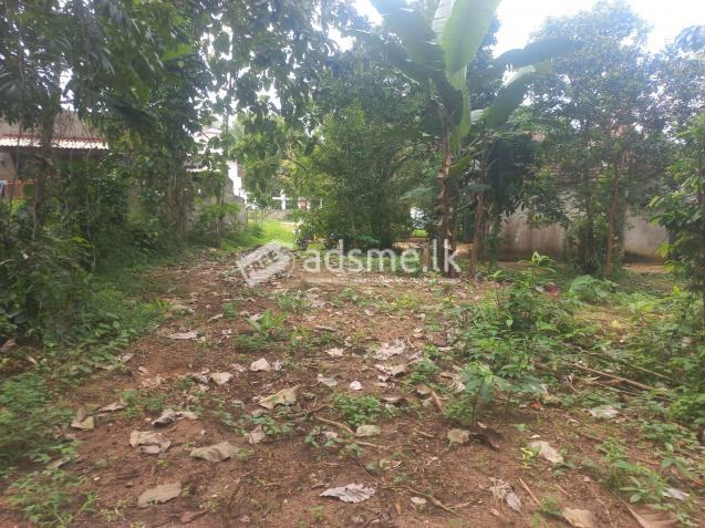 පදිංචියට ඉතා සුදුසු අගනා ඉඩමක් කුරුණෑගල නගරයෙන්