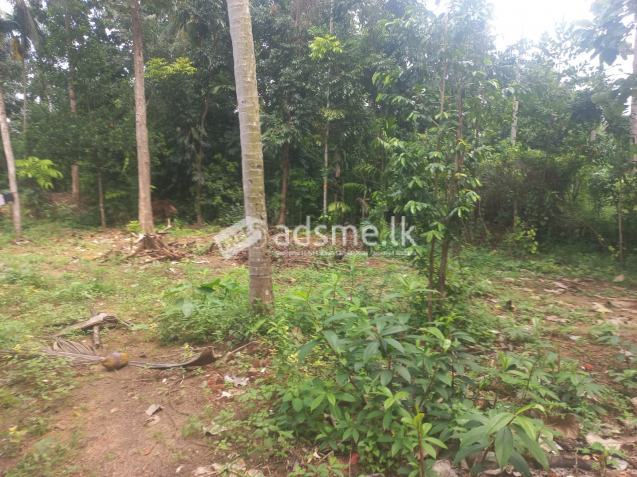 පදිංචියට ඉතා සුදුසු අගනා ඉඩමක් කුරුණෑගල නගරයෙන්