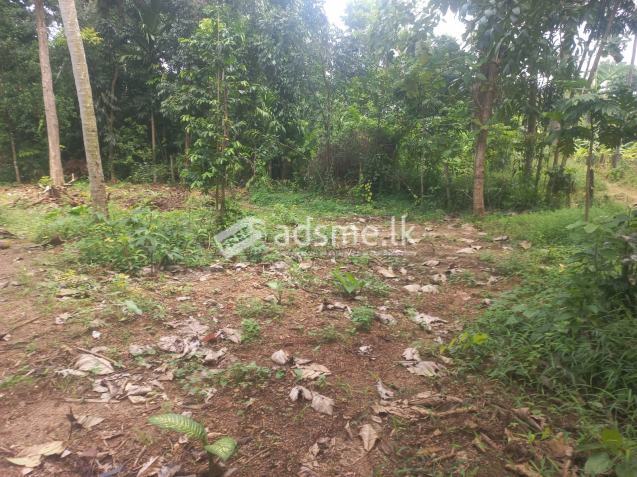 පදිංචියට ඉතා සුදුසු අගනා ඉඩමක් කුරුණෑගල නගරයෙන්