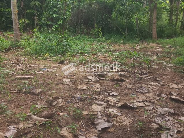 පදිංචියට ඉතා සුදුසු අගනා ඉඩමක් කුරුණෑගල නගරයෙන්