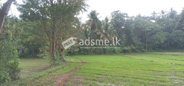 මාවතගම නගරයට නුදුරින් අගනා බිම් කොටසක් විකිණීමට තිබේ.