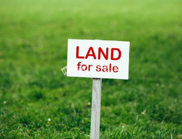 Land for sale- Bolana