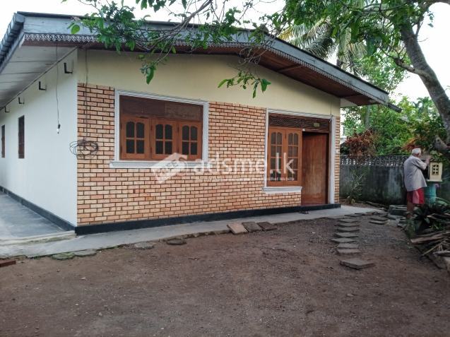 House for immediate  rent