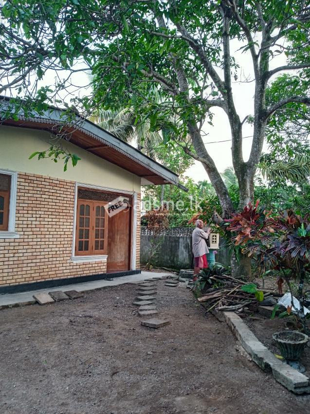 House for immediate  rent