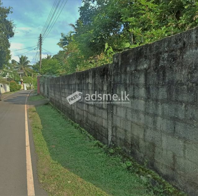 Land for sale in Panagoga(Homagama)