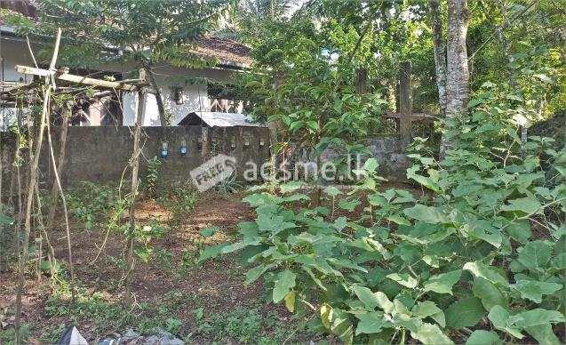 Land for sale in Panagoga(Homagama)