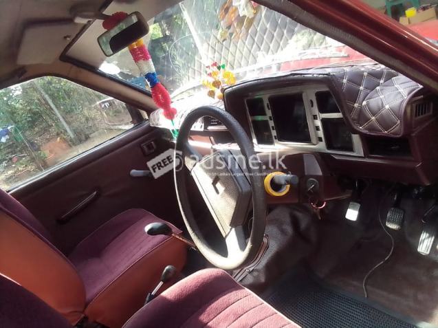 Nissan Datsun 1982