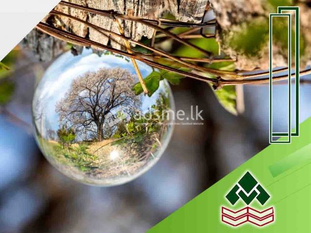 Website designs - Online Shop