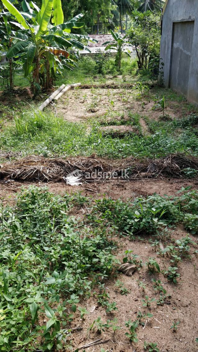 60 perches land in Kumbukgete (Kurunegala)