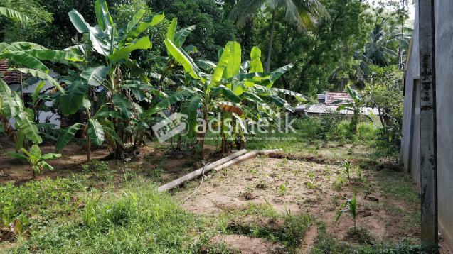 60 perches land in Kumbukgete (Kurunegala)