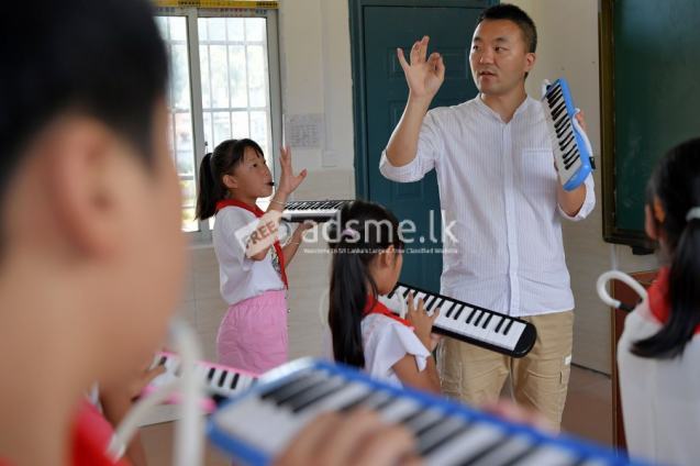 Organ Keyboard Classes