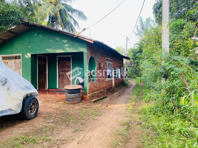 පර්චස් විස්සක ඉඩමක් දඹුල්ල ටවුමෙන්
