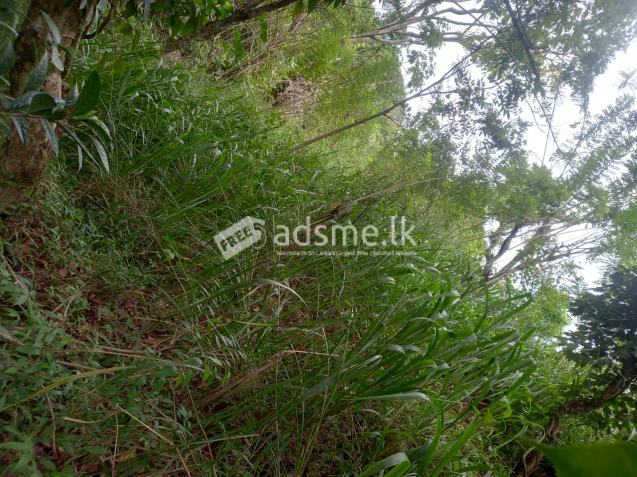 kandy land for sale