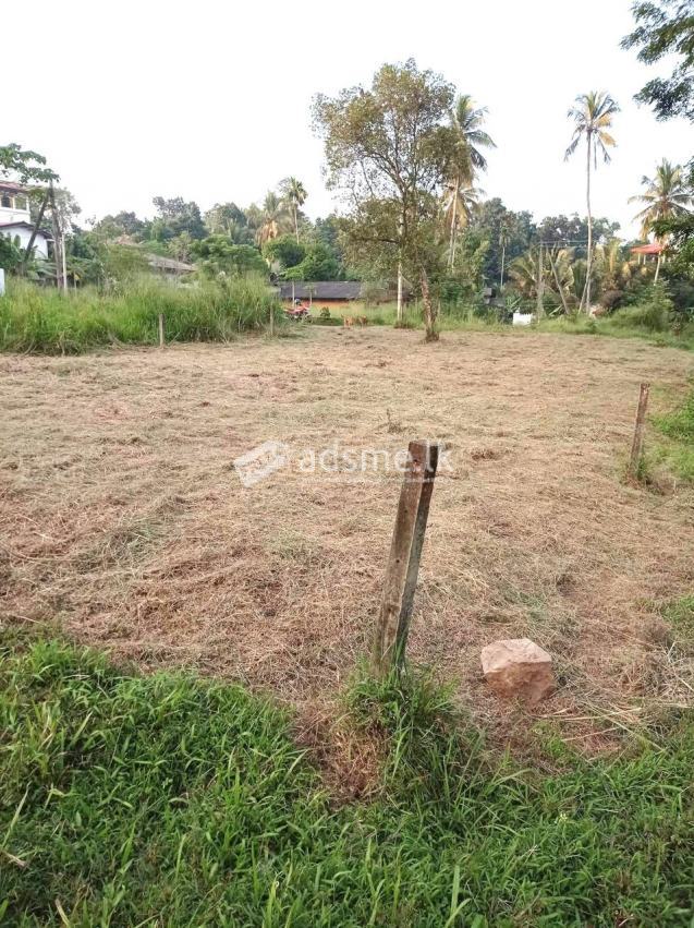 20 Perch Land for Sale - Kalagedihena Veyangoda