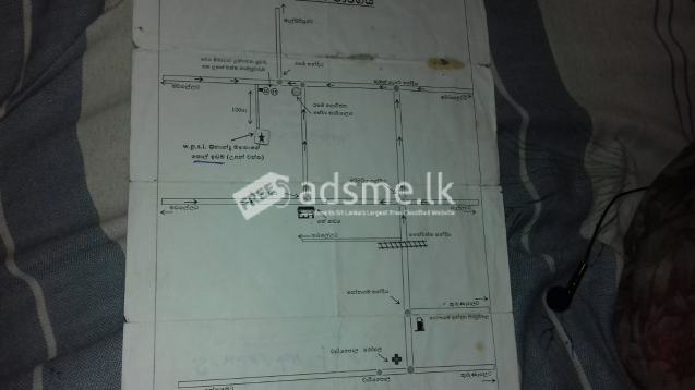 Broiler/Egg Farm For Rent
