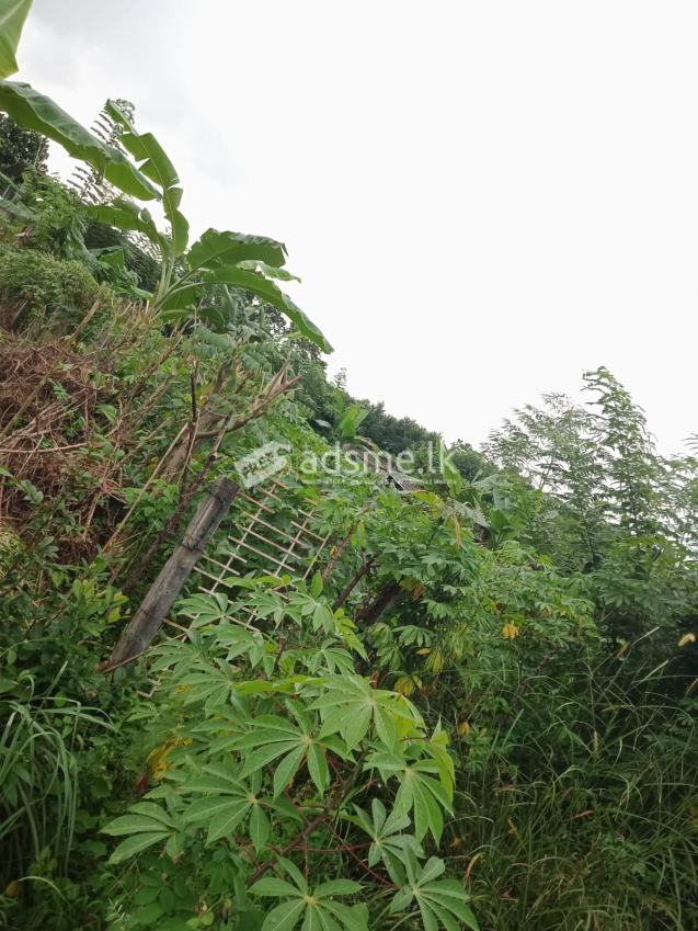 10 perches cultivated land for sale in Meegoda for Rs. 3.30 lakhs