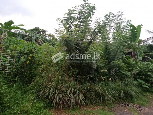 10 perches cultivated land for sale in Meegoda for Rs. 3.30 lakhs