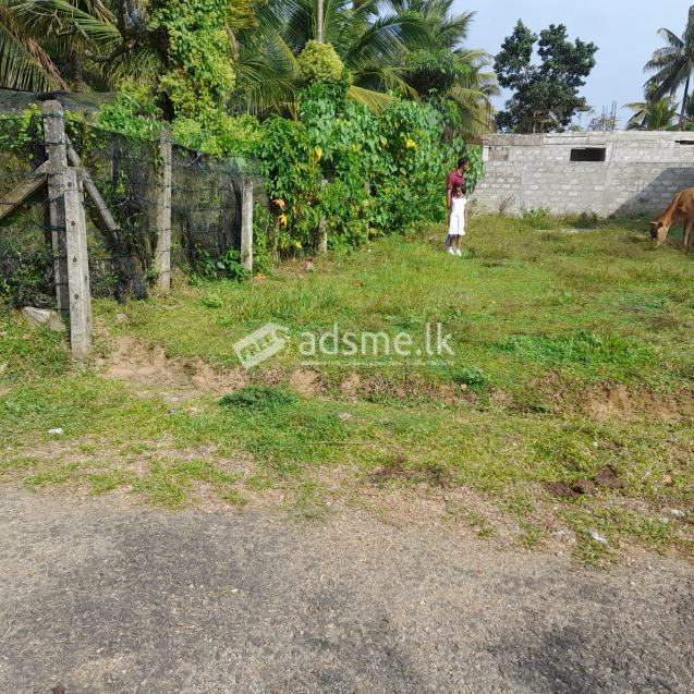 Land for immediate sale in Panagoda