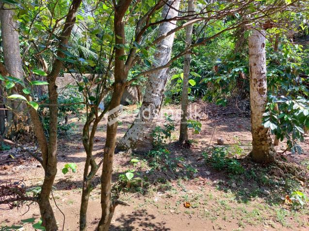 Homagama town 8 perch land for sale